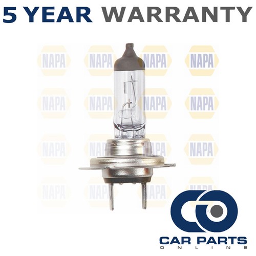 Headlight bulb front cpo - front,