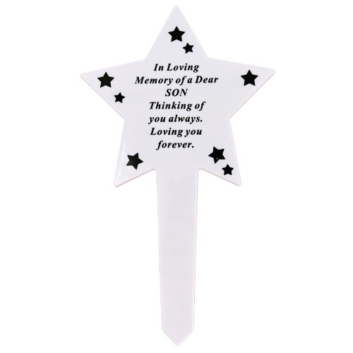 Shining star special - shining, son