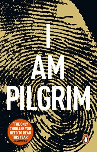 Pilgrim terry hayes - i, am