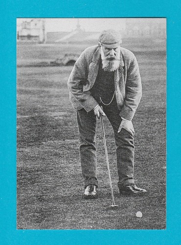 Golf the tom - -,