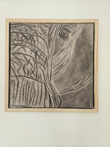 Lines wisdom elephant - of,