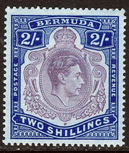 Bermuda 1943 purple - bermuda,