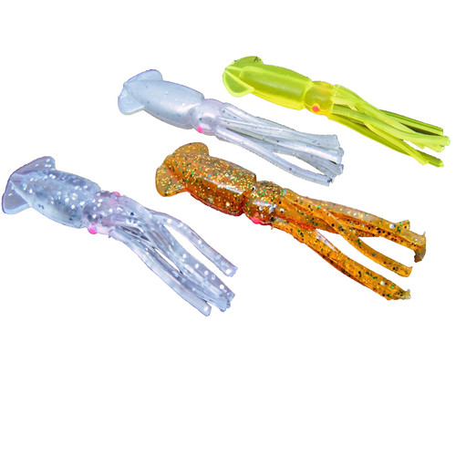 Squid cuttlefish baby - squid,