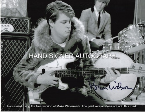 Brian wilson beach boys - wilson,