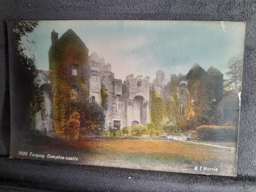 Torquay compton castle art - castle,