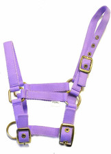Nylon Foal Headcollar - Lilac