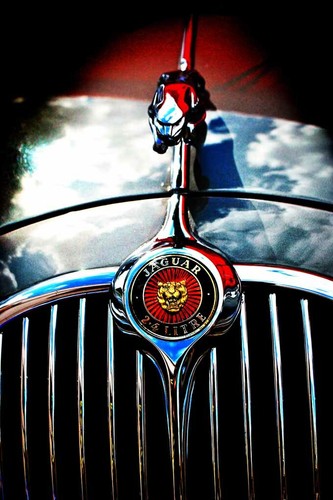 Jaguar car leaping - leaping, leaper