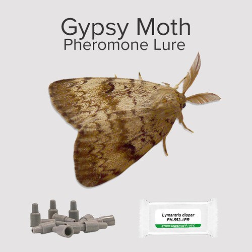 Moth catcher attractant 3 - moth,