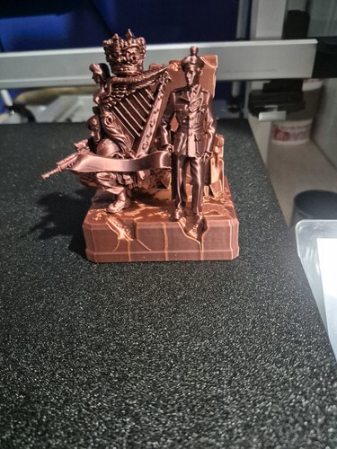 Royal irish rangers printed - irish, 3d