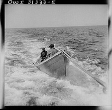 out of Gloucester, Massachusetts. A dory with, On board the fishing boat Alden