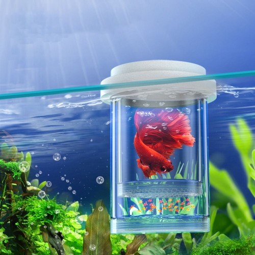 Plastic fish breeding - plastic,