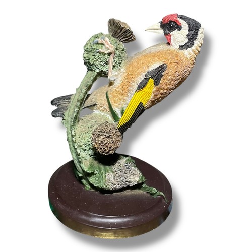 The country bird collection - bird,