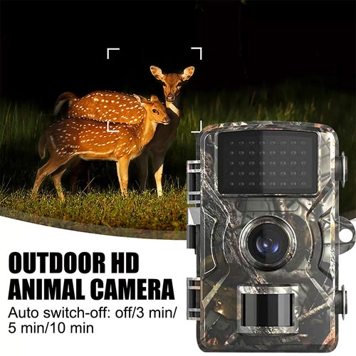 16mp mini hunting - mini, trail