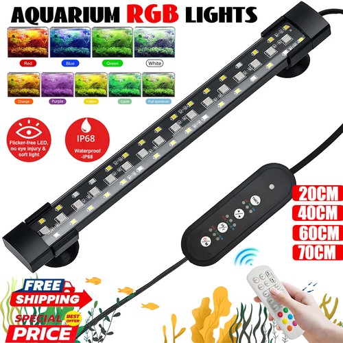 Aquarium fish tank - fish,
