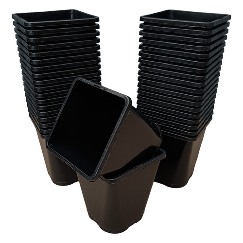 Square plant pots black - plant,