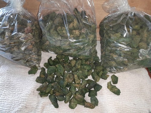 Weed film prop fake joke - prop,