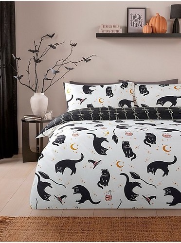 George home mystic - home, cats