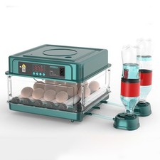 Digital 12 Eggs Incubator