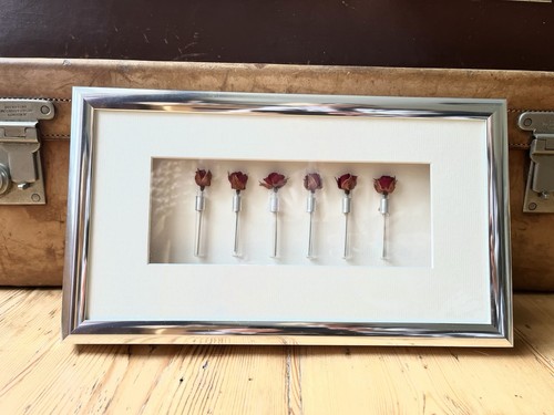 Miniature roses art framed - roses,