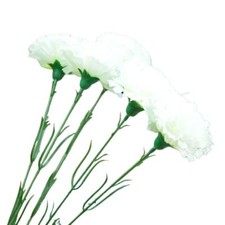 MULTI-LISTING Premium Carnation Long Stem Flowers Artificial