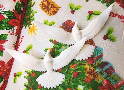 Friendship turtle dove - friendship,