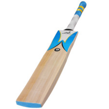 Woodworm Cricket iBat 235+