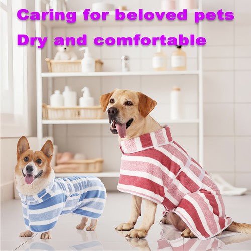 Dog bathrobe pet - dog,