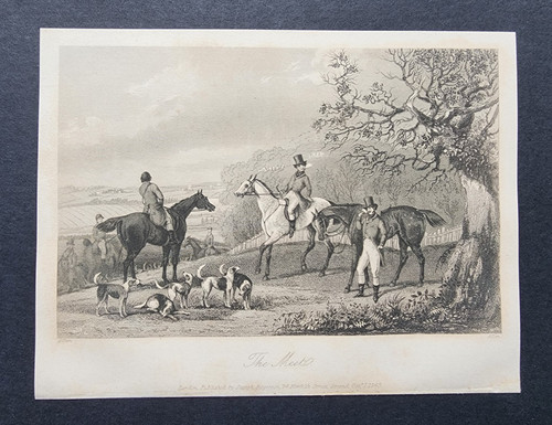 Antique 1843 print fox - antique,