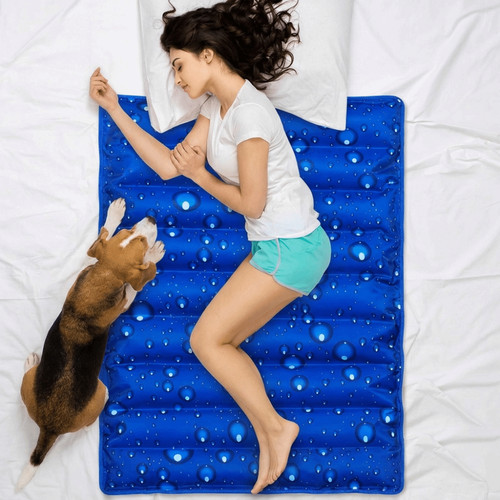 Refillable pet cooling - pet, gel