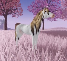 Wild horse islands iuh - wild,