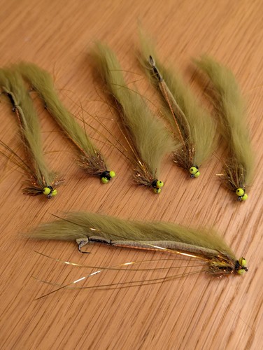 Fly fishing trout flies - fly, flies(🦈