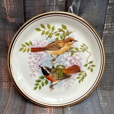 BIRDS OF THE HEDGEROW PLATE R J HERITAGE Redstart with Wisteria Edwardian China