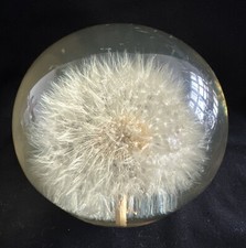 Dandelion Flower Resin Hafod