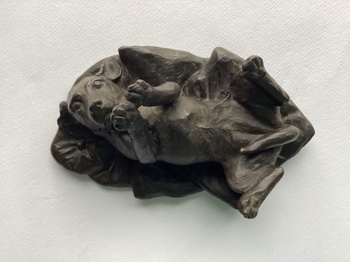 Bronze dog puppy vizsla - bronze,