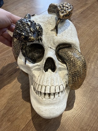 Skull ornament with - skull,