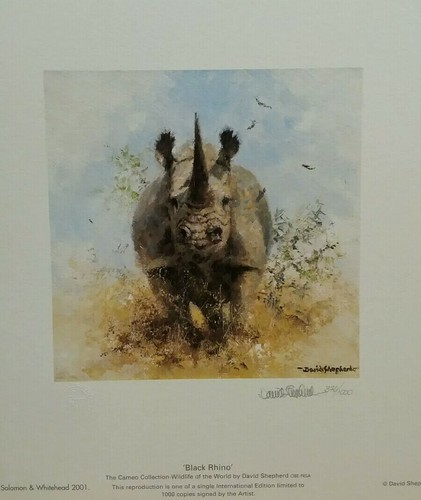 Black rhino cameo david - black,