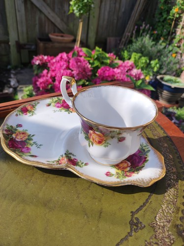 Royal albert old country - royal, roses