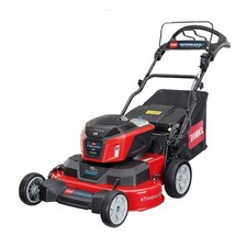 Toro eTimemaster 76cm Battery