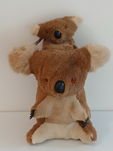 Vintage koala bear - vintage,