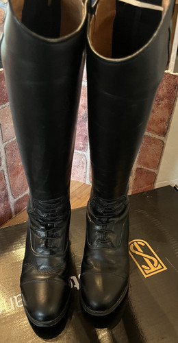 Tredstep ireland horse - tredstep,