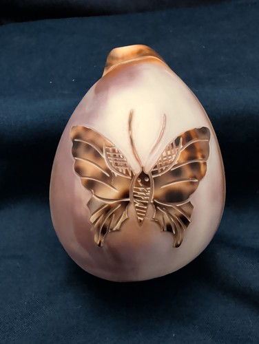 Hand carved tiger cowrie shell - hand,