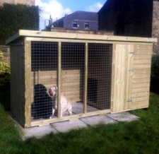 Wooden 8x4 Dog Kennel and Run Pet House Tanalised T&G Throughout Strong Mesh 