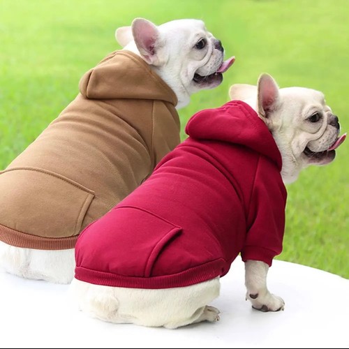 Soft cosy warm dog pet - dog,