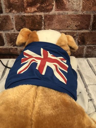 Plush british bulldog wearing - plush,