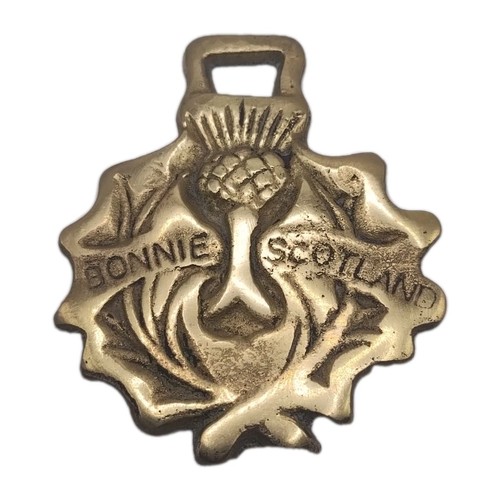 Bonnie scotland thistle brass - bonnie,