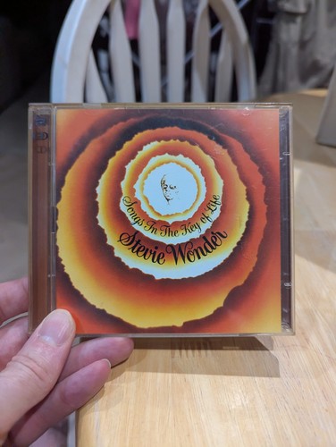 Stevie wonder songs in the - wonder,