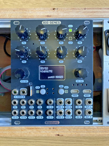 Ksoloti big genes - ksoloti, synth