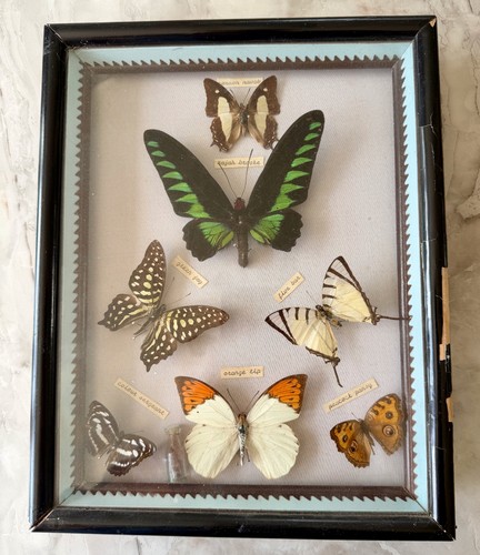 Vintage framed real - framed,