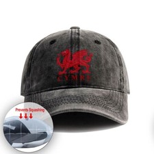 Vintage WELSH DRAGON & CYMRU
