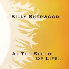 Billy Sherwood - At The Speed